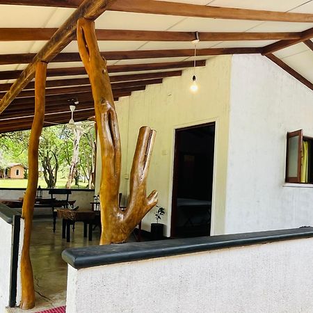 Funky Leopard Safari Lodge Bordering Yala National Park 카타라가마 외부 사진