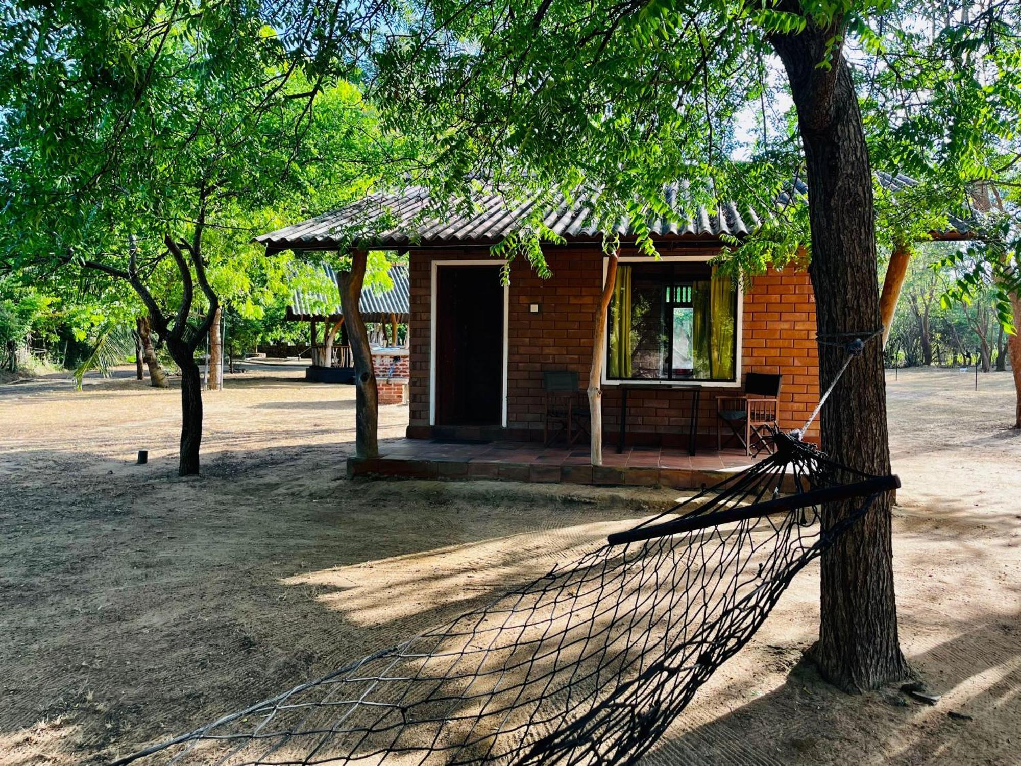Funky Leopard Safari Lodge Bordering Yala National Park 카타라가마 외부 사진