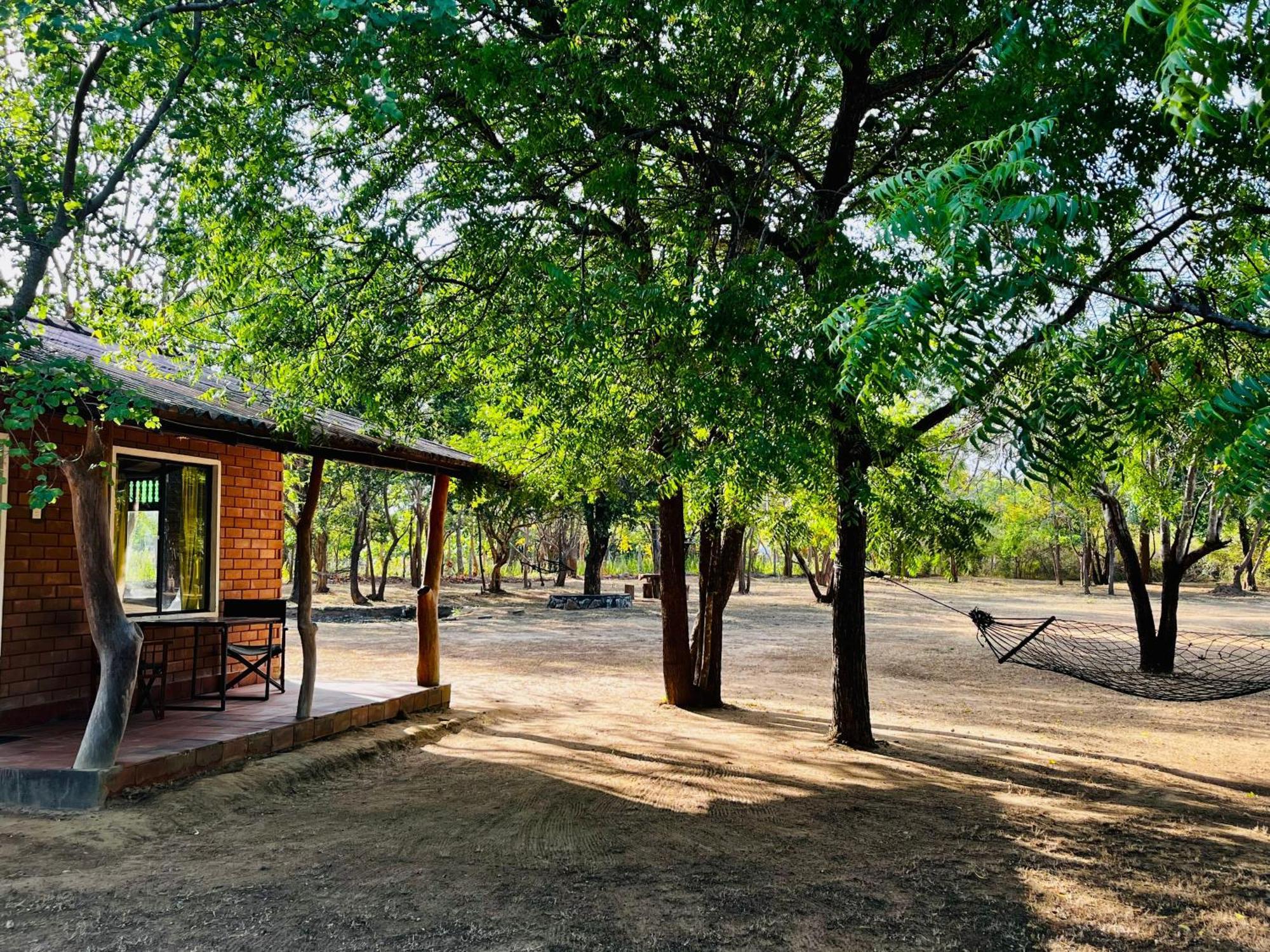 Funky Leopard Safari Lodge Bordering Yala National Park 카타라가마 외부 사진